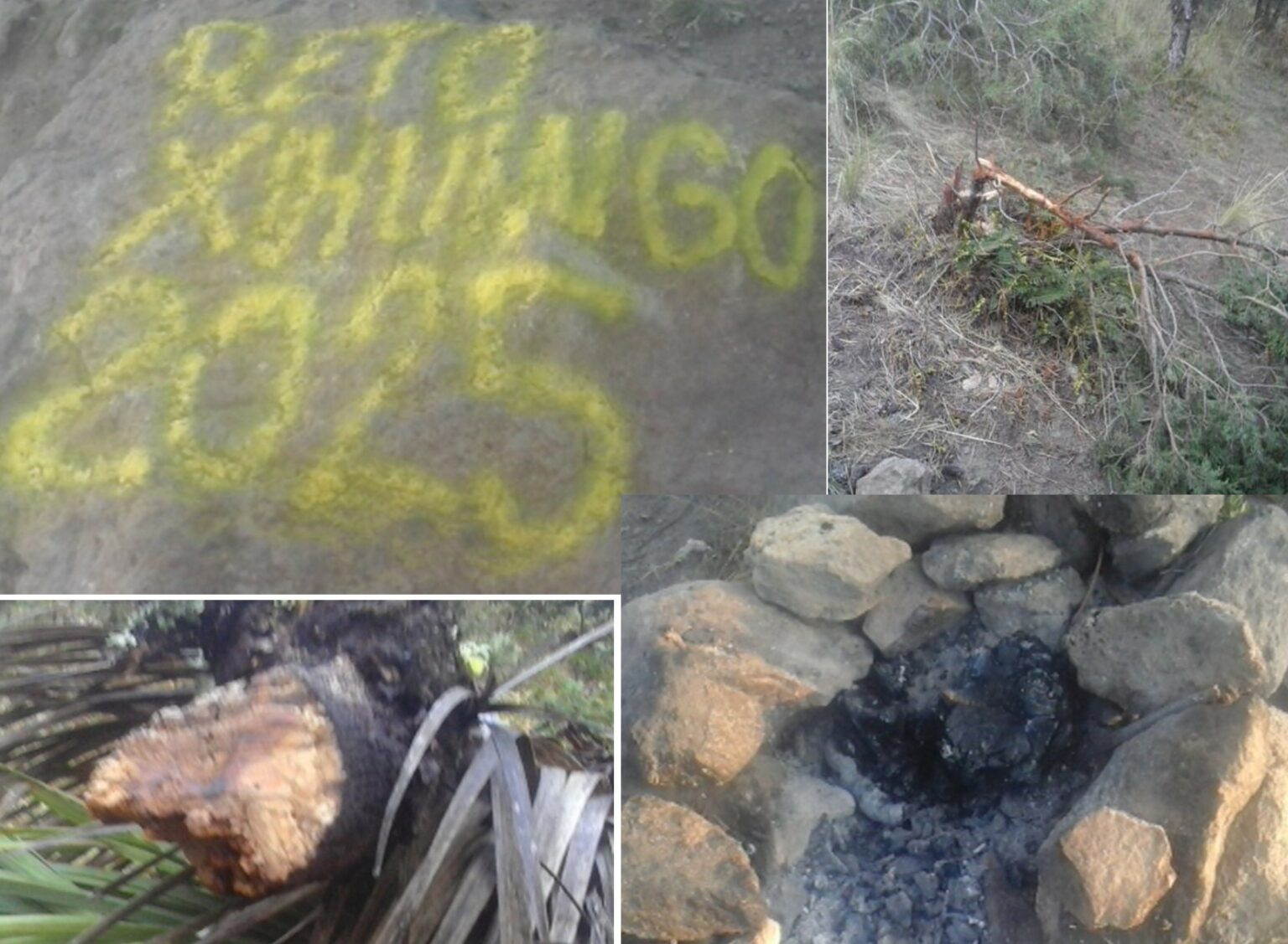 Alerta: Destrucción y saqueo del cerro de El Xihuingo