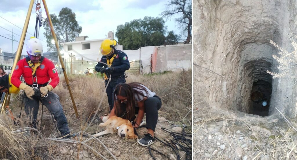 Bomberos rescatan exitosamente a perrito