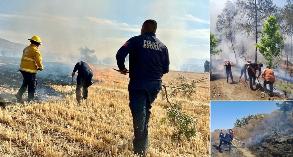Policías Estatales apoyan en labores de sofocar incendios