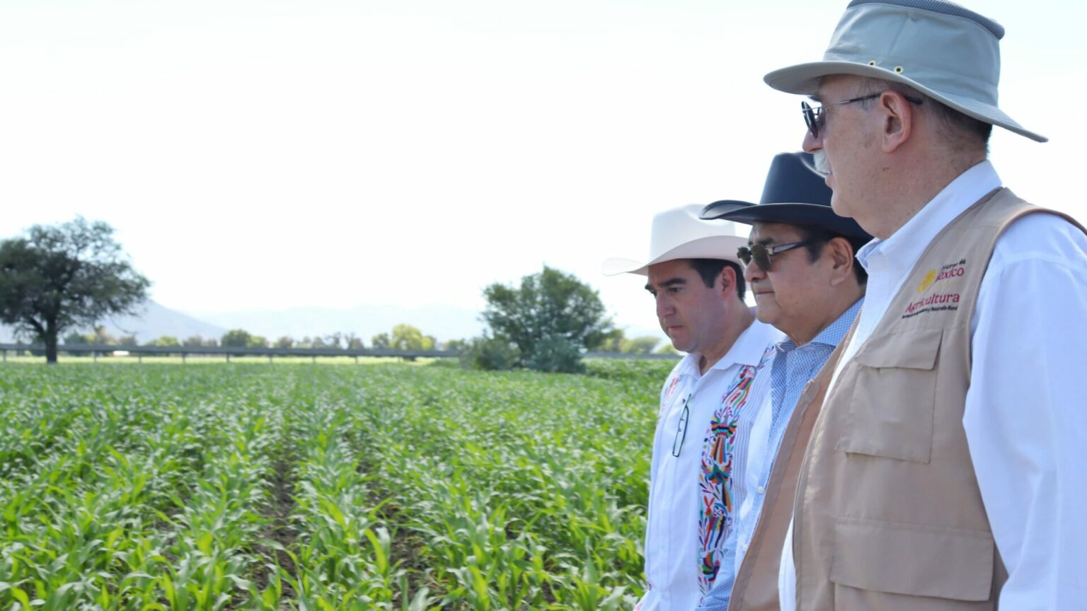 En Hidalgo se impulsa una verdadera transformación del campo: titular de la SADER