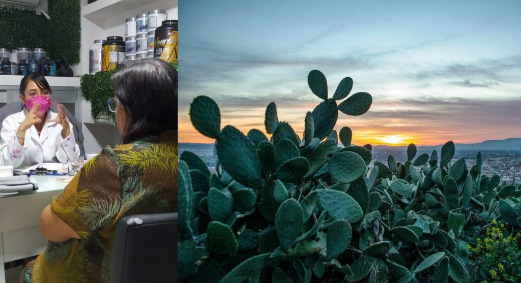 Nopal deshidratado, una alternativa saludable contra enfermedades metabólicas en México