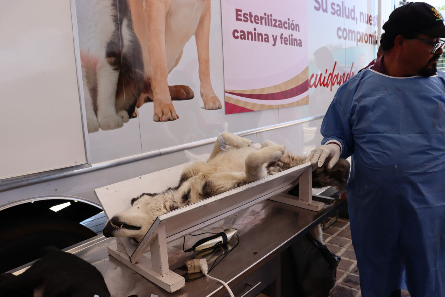 Brigadas de la Salud para familias que más lo necesitan