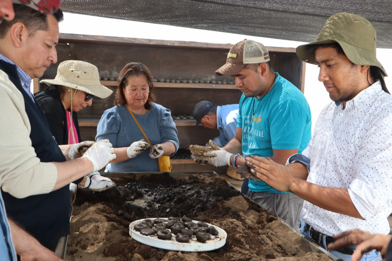 Hidalgo fortalece su política ambiental con participación ciudadana y acciones de reforestación