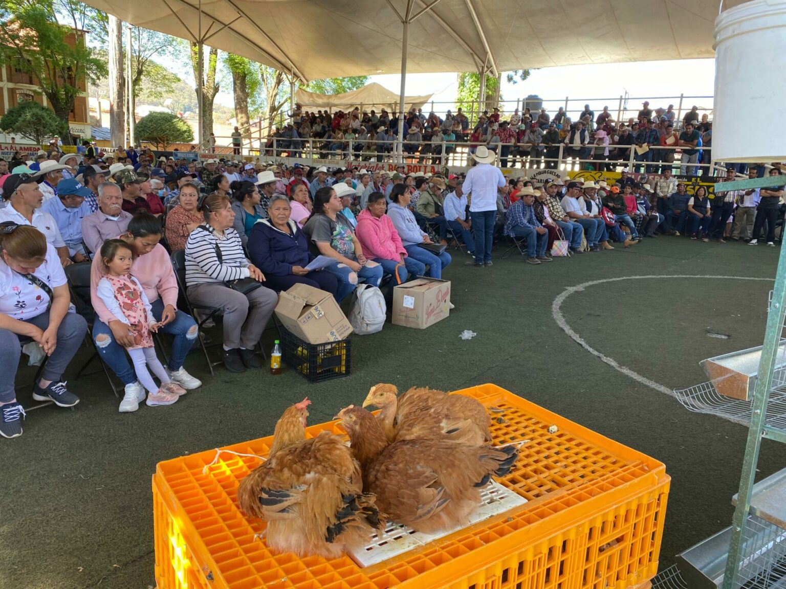 Fortalecen al campo con entrega de apoyos productivos