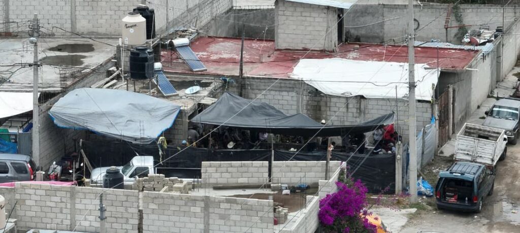 Desmantelan palenque clandestino en Pachuca