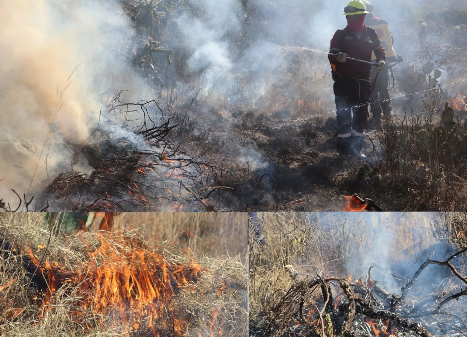 Atienden incendio forestal registrado en Jacala
