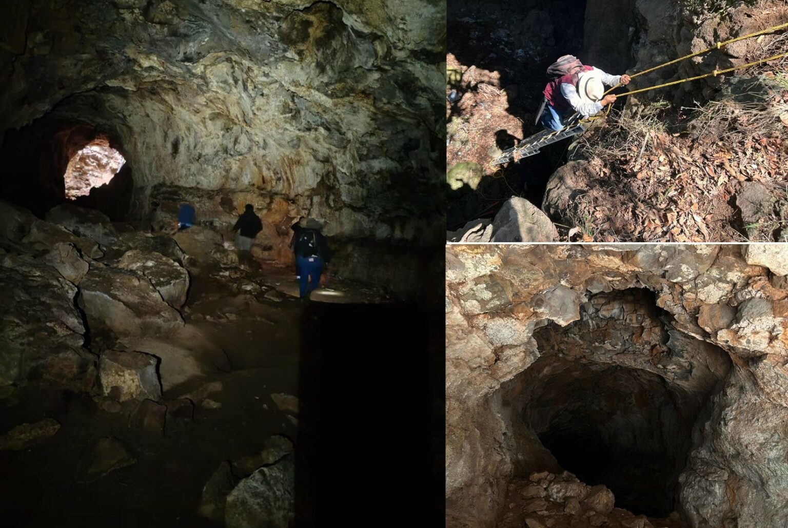 Hidalgo fortalece la conservación de murciélagos en cueva de Cuautepec
