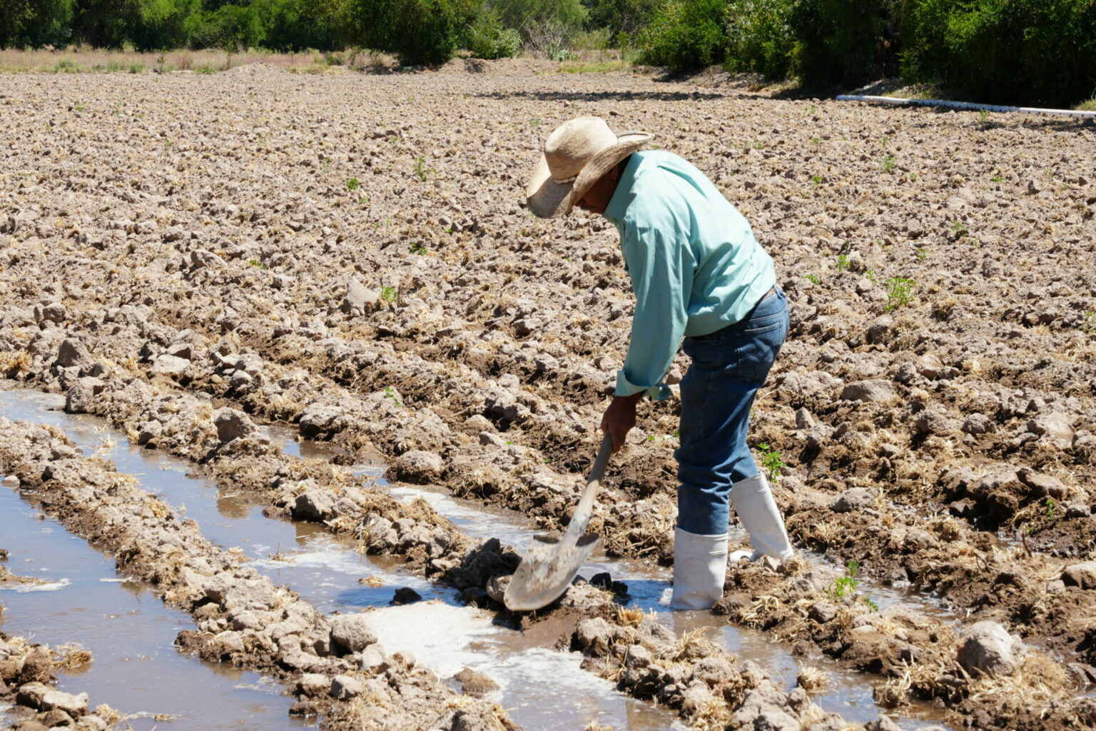 Proyectos en beneficio de productores agrícolas del Valle del Mezquital