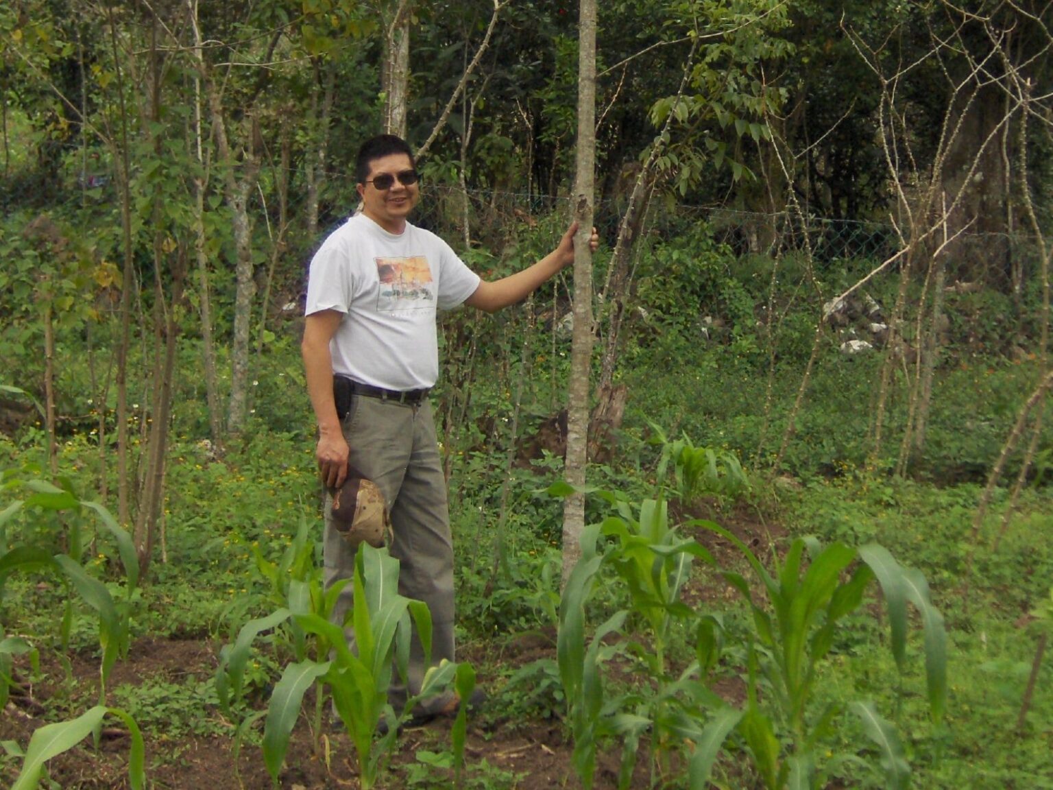 Experto de la UAEH plantea retomar la agroforestería para frenar crisis ambiental