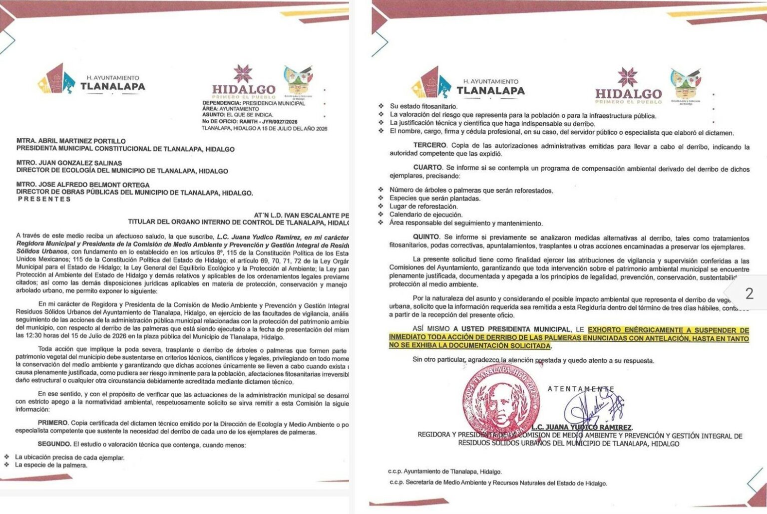 Indignación por destrucción de palmeras y árboles en Tlanalapa