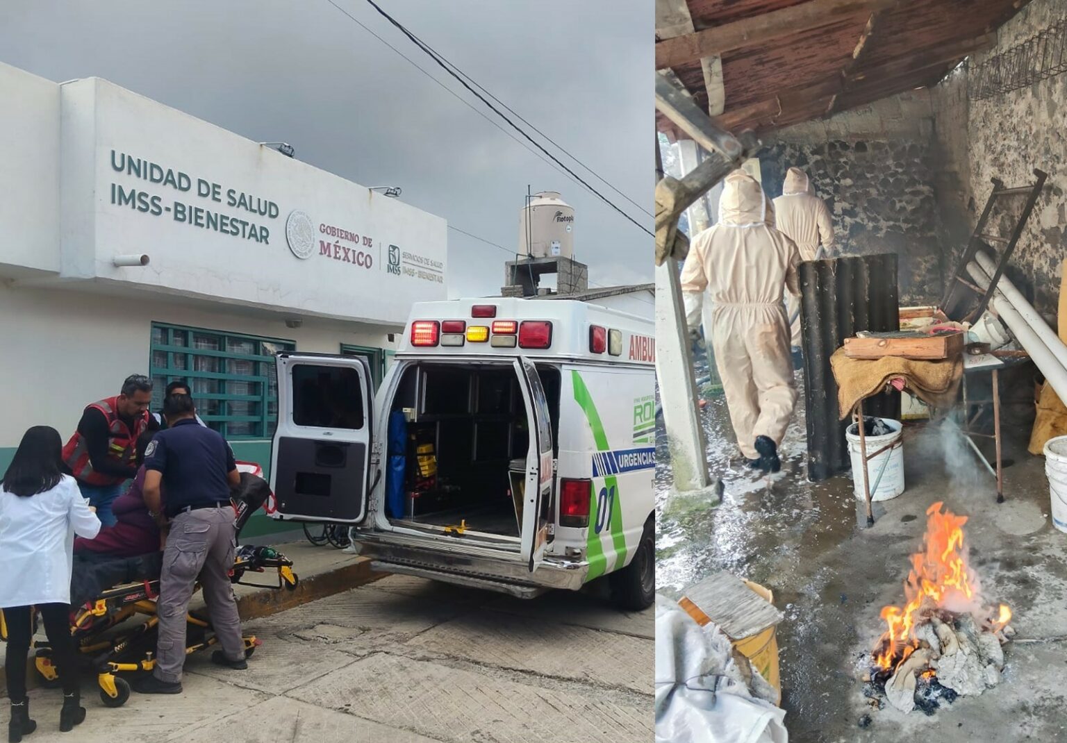 Ataque de abejas deja al menos 11 personas lesionadas en Santa Bárbara, Emiliano Zapata