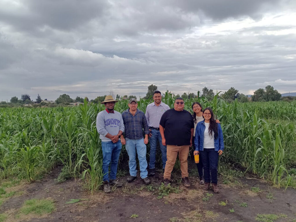 ITESHU y CIMMYT desarrollan alternativas para mejorar la producción agrícola