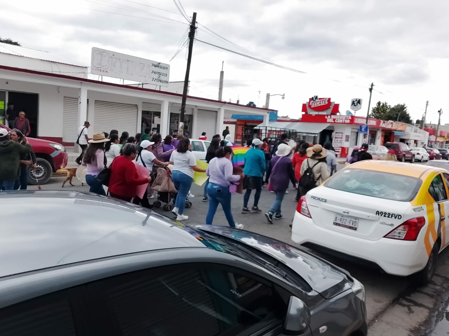 Exigen localización de Melody con marcha y jornada de búsqueda